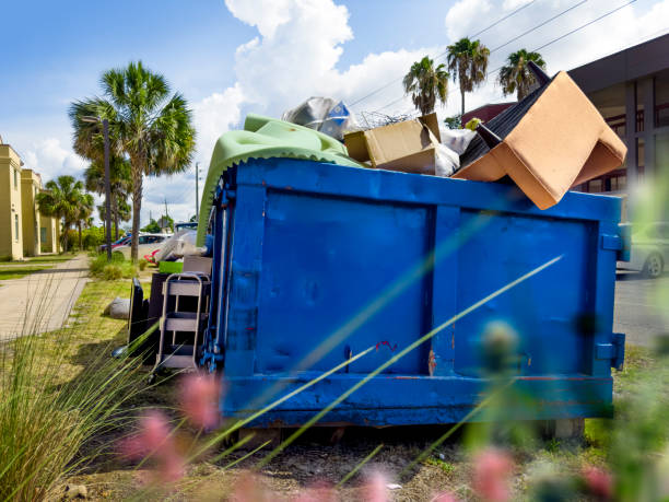 Best Electronics and E-Waste Disposal  in Hamshire, TX